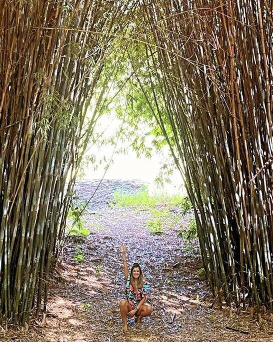 Recanto Dos Beija Flores, Chale Bougainville Monte Alegre do Sul Exterior foto